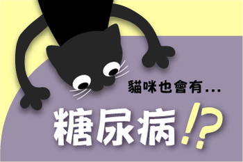 【認識貓咪的糖尿病】陳敏獸醫師