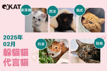 2025｜二月代言《躲貓貓》