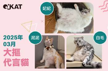 2025｜三月代言《大摳貓》