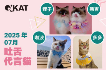 2025｜七月代言《吐舌貓》