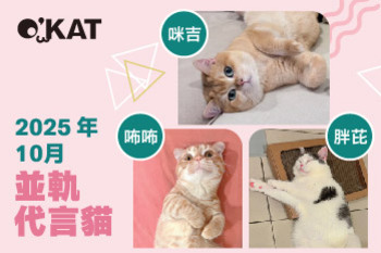 2025｜十月代言《並軌貓》
