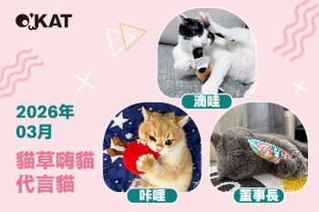 2026｜三月代言《貓草嗨貓》
