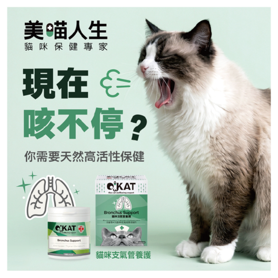 支氣管支氣管